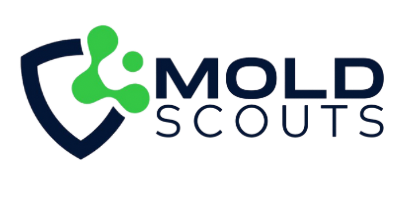 Scouts Mold Removal