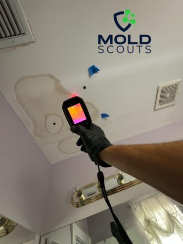 Mold Inspector Florida, Moho mold clean limpieza in Florida, Miami