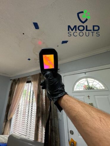 Mold Inspector Florida, Moho mold clean limpieza in Florida, Miami